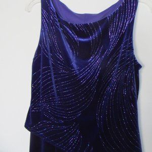 Purple Velvet Evening Gown  Diagonal Hem  Size 6 Dress